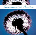 Unknown Artist : Instrumental Beatles (CD)