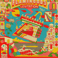 Flamingods : Levitation (CD, Album)