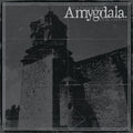 Amygdala (12) : Our Voices Will Soar Forever (CD, Album)