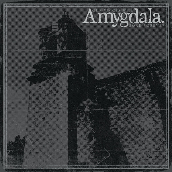 Amygdala (12) : Our Voices Will Soar Forever (CD, Album)