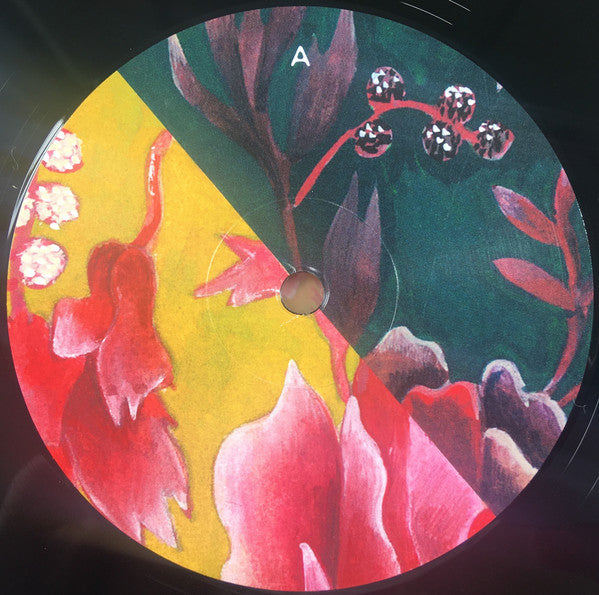 Lungbutter (4) : Honey (LP, Album)