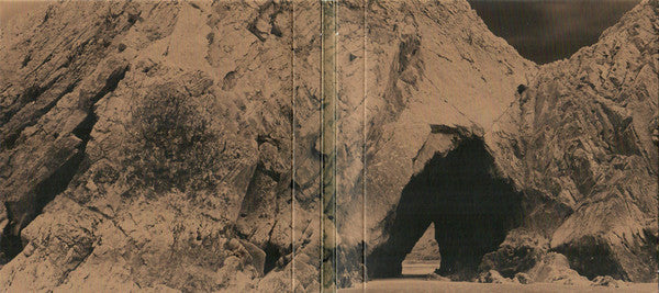 The Amazons (3) : Future Dust  (CD, Album)