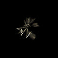 Resina (2) : Traces Remixes (12", EP)