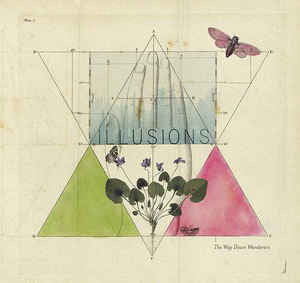 The Way Down Wanderers : Illusions (LP, Album, Cle)