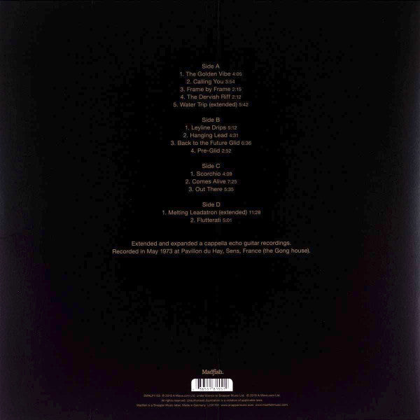 Steve Hillage : The Golden Vibe (2xLP, Album)