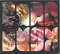 Dana Buoy : Ice Glitter Gold (CD, Album)