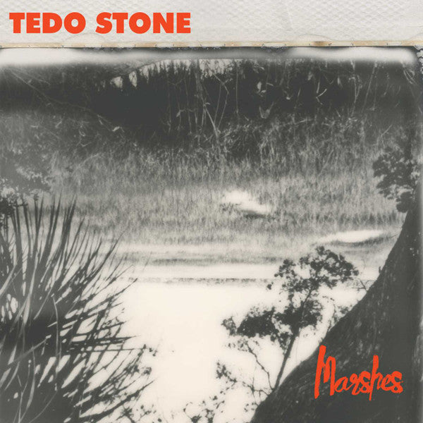 Tedo Stone : Marshes (CD, Album, Dig)