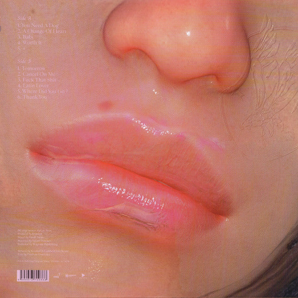 Las Aves (2) : I’ll Never Give Up On Love Until I Can Put A Name On It (LP, Album, Cle)