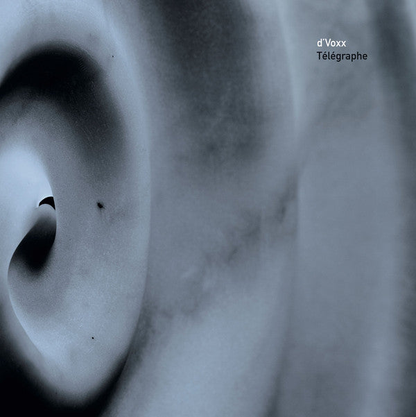 d'Voxx : Télégraphe (2x12", Ltd)