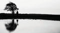 Ben Walker (6) : Echo (CD)