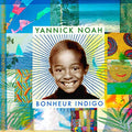 Yannick Noah : Bonheur Indigo (CD, Album)
