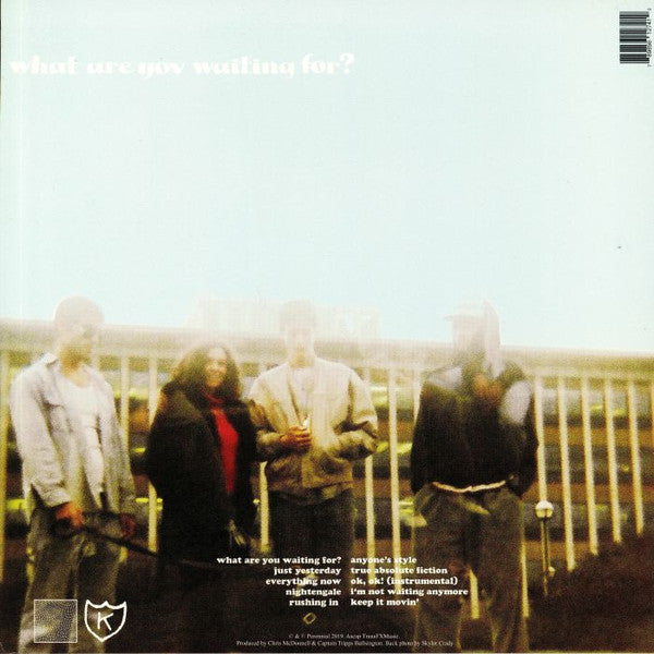 Daisies (4) : What Are You Waiting For (LP, Album)