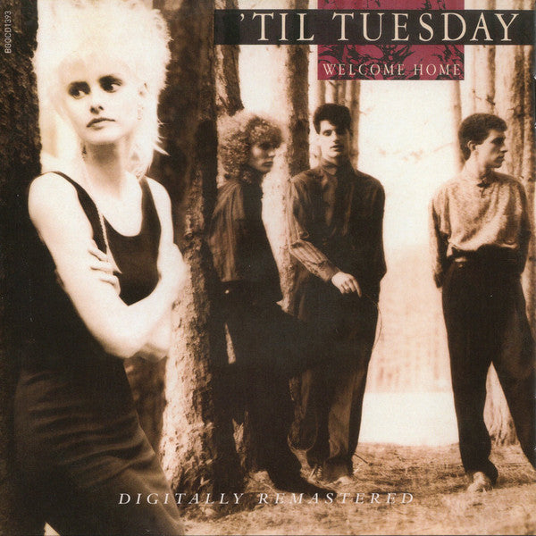 'Til Tuesday : Welcome Home / Everything's Different Now (CD, Comp, RM)