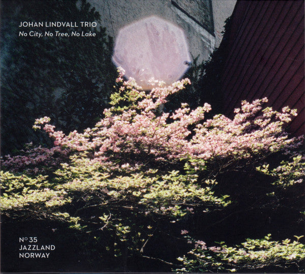 Johan Lindvall Trio : No City, No Tree, No Lake (CD, Album)