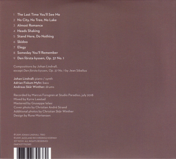Johan Lindvall Trio : No City, No Tree, No Lake (CD, Album)