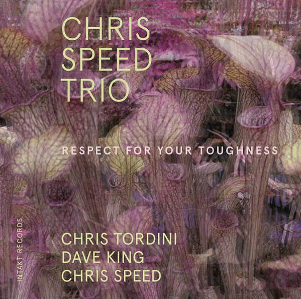Chris Speed Trio : Respect For Your Toughness (CD, Album)