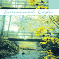 Unknown Artist : Instrumental Eagles (CD)