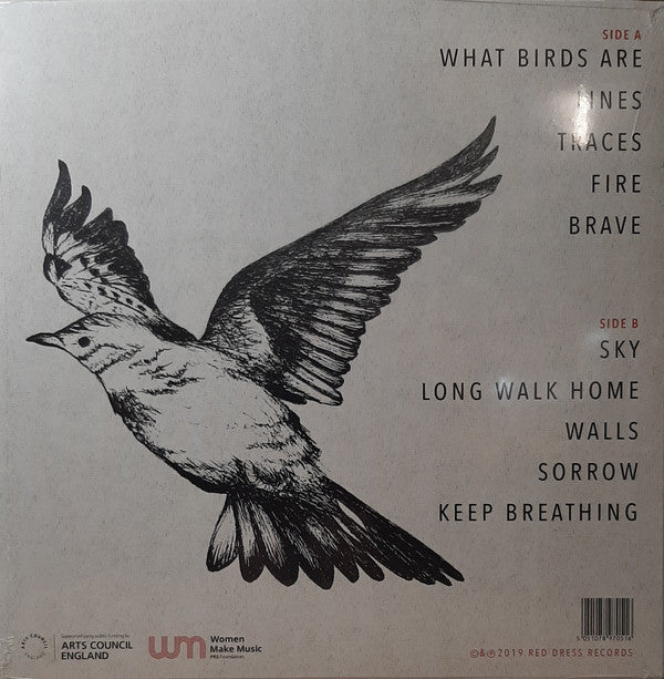 Rowan Rheingans : The Lines We Draw Together (LP, Album)