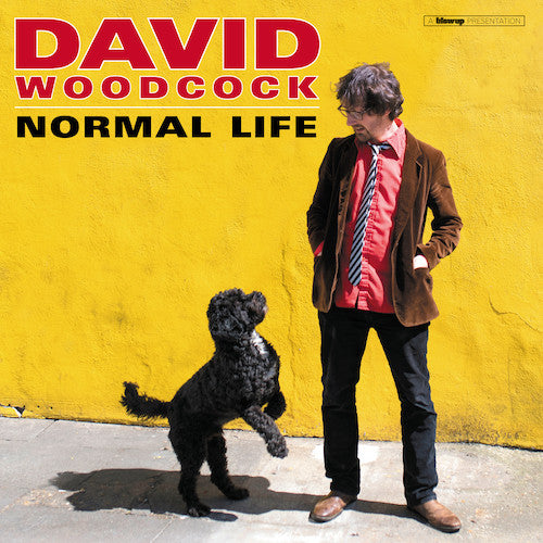 David Woodcock (3) : Normal Life (LP, Album)