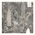PCM (5) : Attraverso (CD, Album)