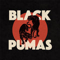 Black Pumas : Black Pumas (CD, Album)