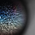 Emptyset : Blossoms (LP, Album)