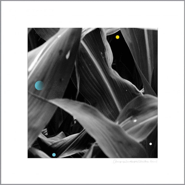 Arthur King (8) : Changing Landscapes (Wauters Farm) (LP)