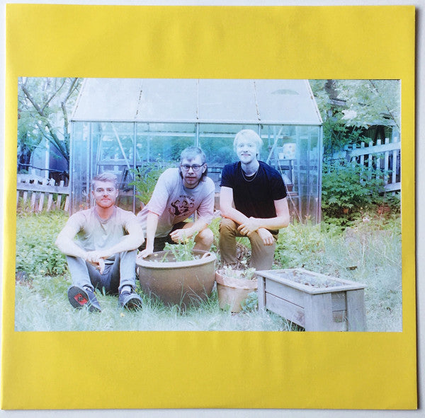 Bowman Trio : Persistence (LP, Album)