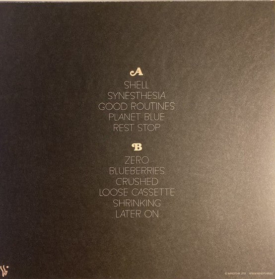 Amy O : Shell (LP, Album)