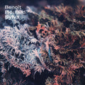 Benoit Pioulard : Sylva (CD, Album)