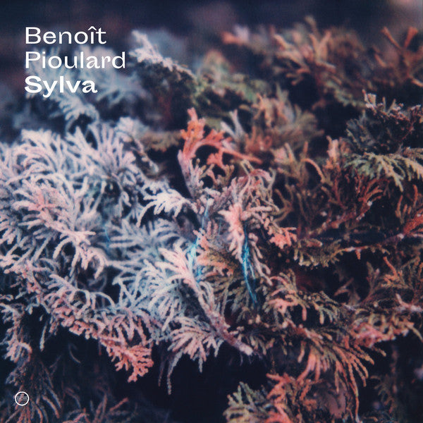 Benoit Pioulard : Sylva (CD, Album)