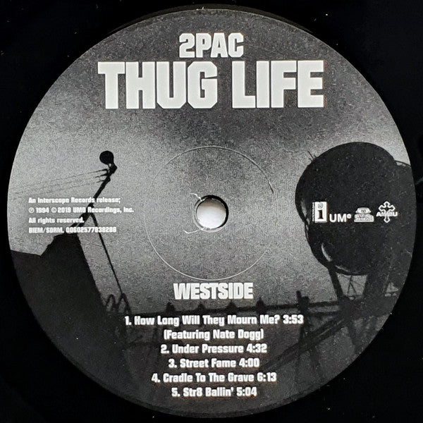 Thug Life : Volume 1 (LP, Album, RE, Opt)