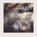 Lights Fluorescent :  The Oldest Sons Of The Oldest Sons (LP)