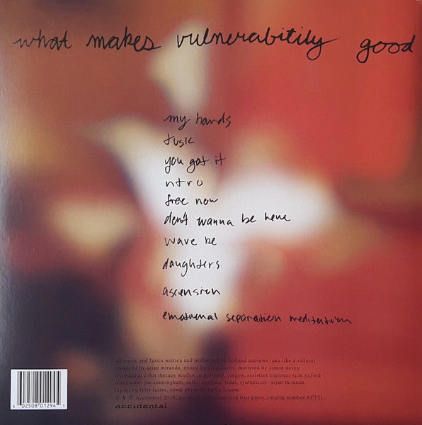 Like A Villain : What Makes Vulnerability Good (LP, Album)