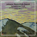 Johann Nepomuk David - ORF Radio-Symphonieorchester Wien, Johannes Wildner : Symphonies 2 & 4 (CD, Album)