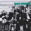 The Black Sorrows : The Essential Black Sorrows (CD, Comp, RE, RM)