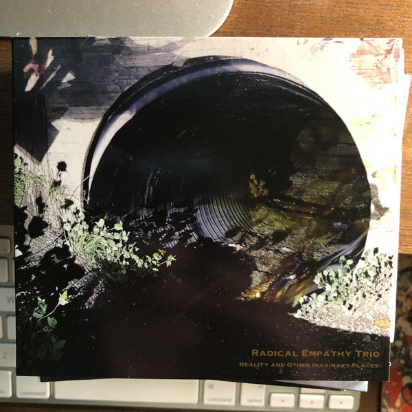 Radical Empathy Trio : Reality and Other Imaginary Places  (CD, Album)