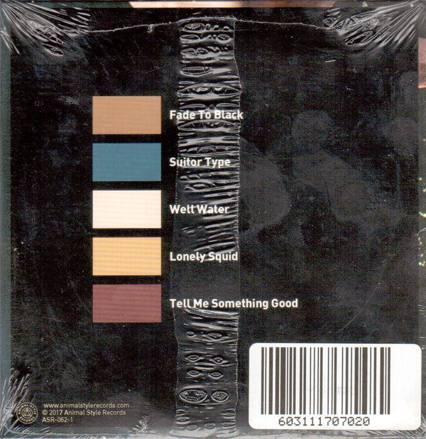 Northbound (6) : The Flaws In Everything (CD, EP)
