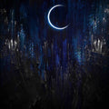 Vesperith : Vesperith (LP, Album, Ltd)