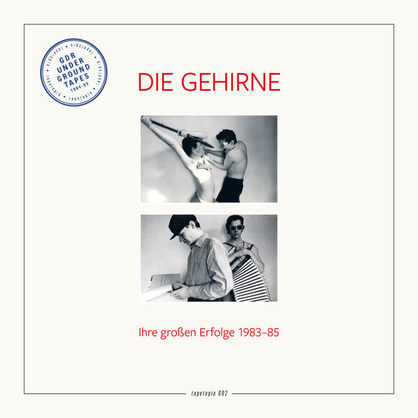Die Gehirne : Ihre Großen Erfolge 1983-85 (LP, Ltd, RM)