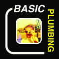 Basic Plumbing : Keeping Up Appearances (LP, Album)