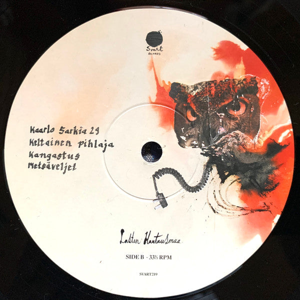 Lasten Hautausmaa : IV (LP, Album)
