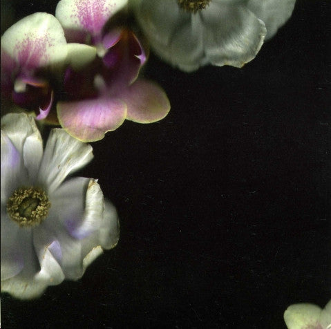 Alpines : Full Bloom (CDr, Album)