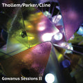 Thollem McDonas / William Parker / Nels Cline : Gowanus Sessions II (LP, Album)