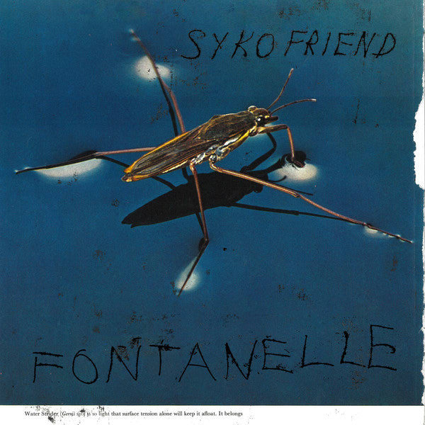Syko Friend : Fontanelle (LP, Album)