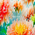 Various : :Select Volume 5 (2xCD, Comp, Mixed)