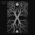 Shaam Larein : Sculpture (CD, Album)
