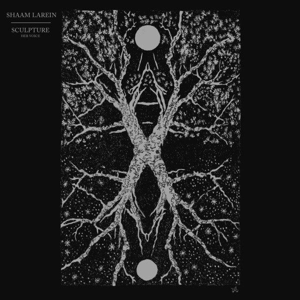 Shaam Larein : Sculpture (CD, Album)