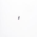 Emika : Dilo Variations (10", Ltd)