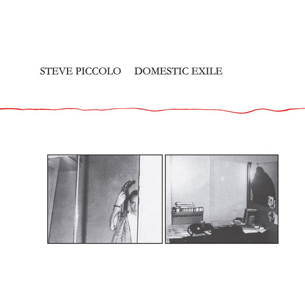 Steve Piccolo : Domestic Exile (CD, Album, RE, RM)